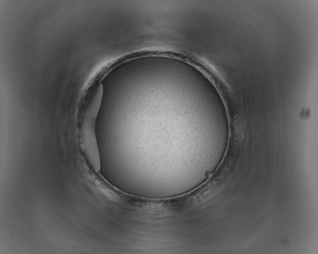 X0000090761408200708031620