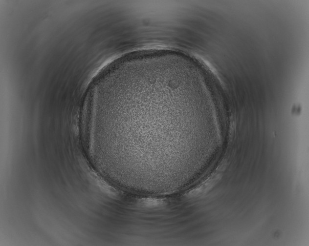 X0000090761409200708031620