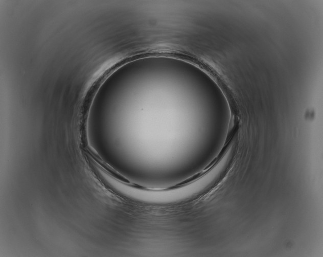 X0000090761410200708031620