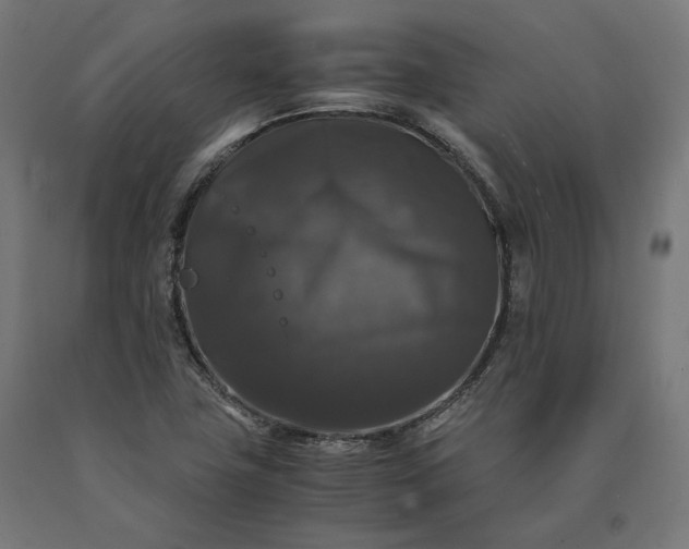 X0000090761411200708031620