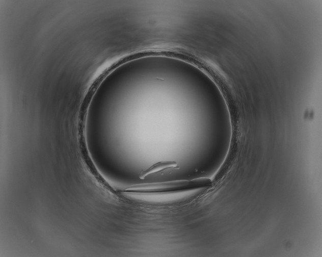 X0000090761412200708031620