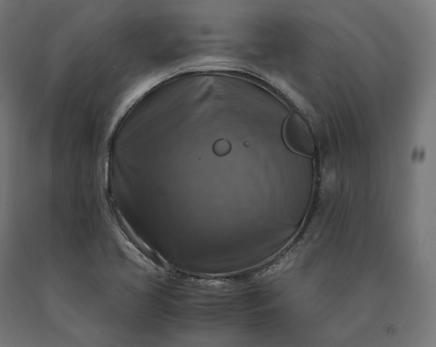 X0000090761413200708031620