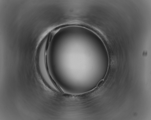 X0000090761414200708031620