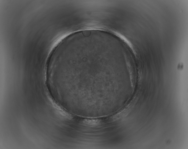 X0000090761415200708031620