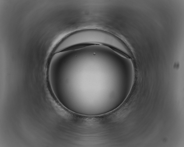 X0000090761416200708031620