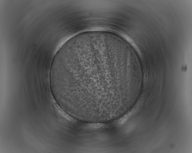 X0000090761417200708031620