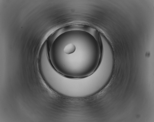 X0000090761418200708031620