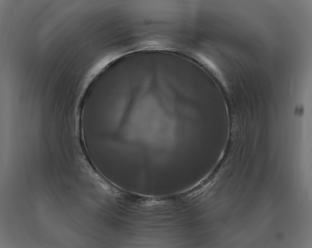 X0000090761419200708031620