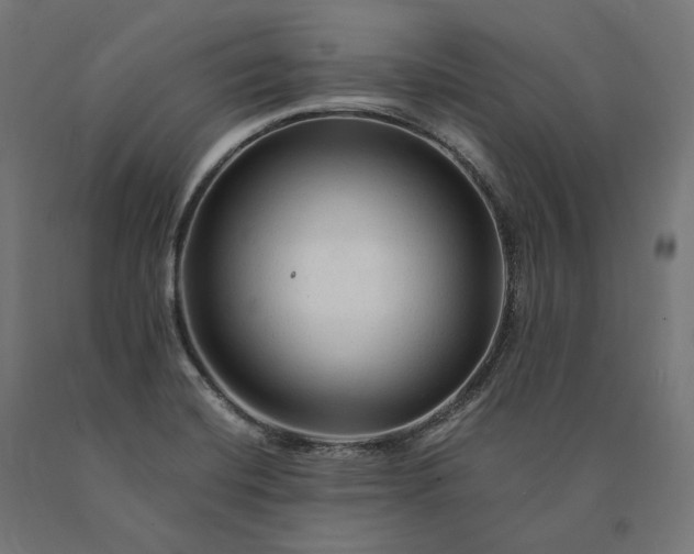 X0000090761420200708031620