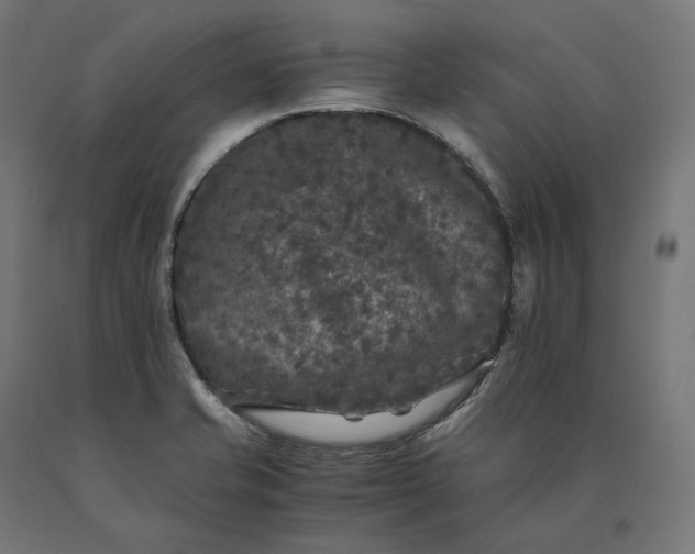 X0000090761421200708031620