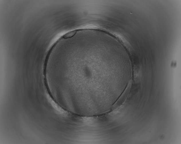 X0000090761422200708031620