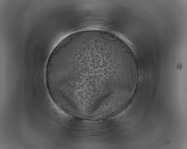 X0000090761423200708031620