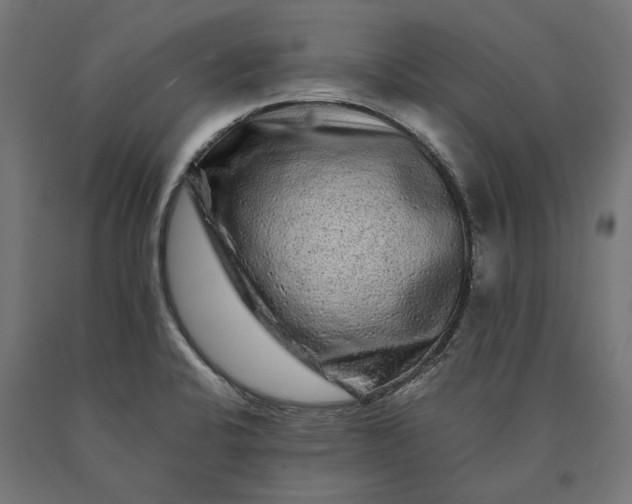 X0000090761424200708031620