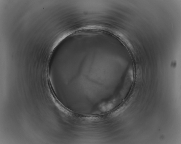 X0000090761425200708031620