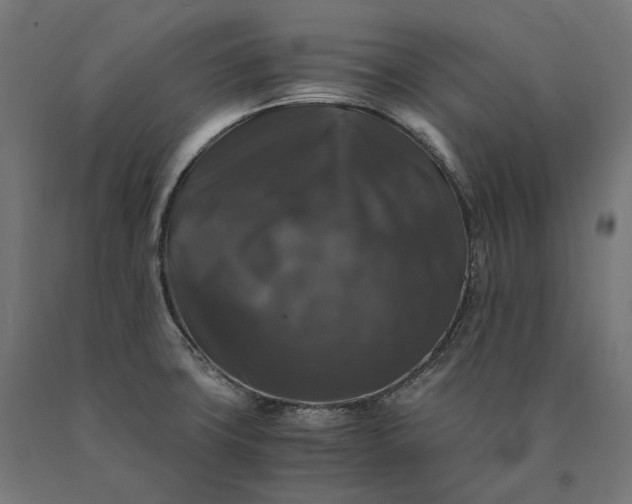 X0000090761427200708031620