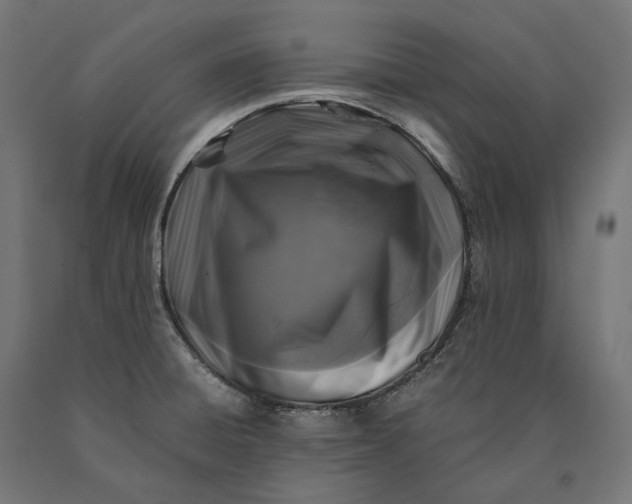 X0000090761428200708031620