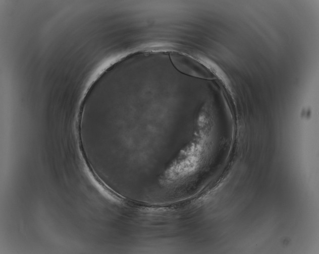 X0000090761429200708031620