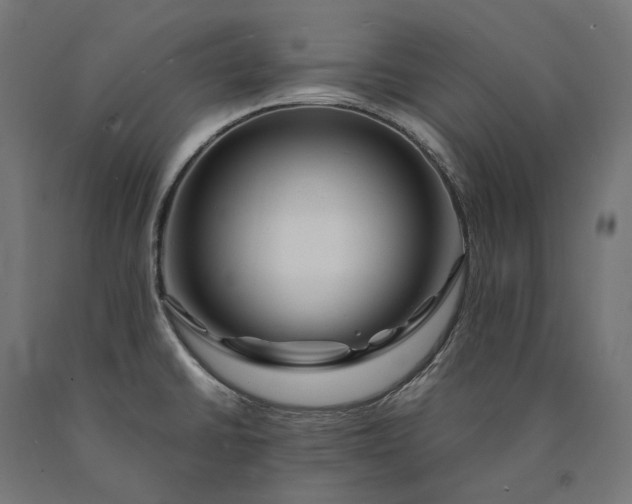 X0000090761430200708031620