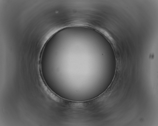 X0000090761431200708031620