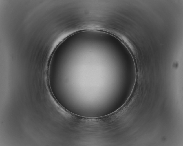 X0000090761432200708031620