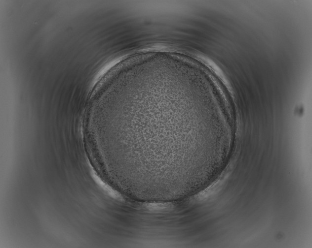 X0000090761433200708031620