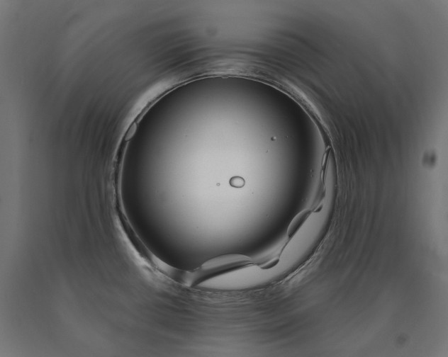 X0000090761434200708031620