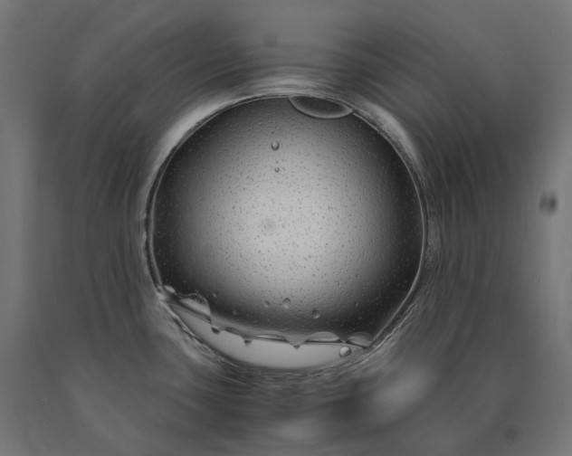 X0000090761435200708031620