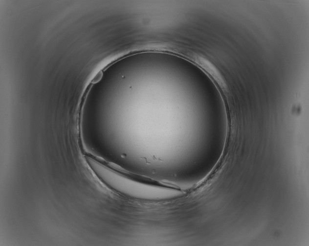 X0000090761436200708031620