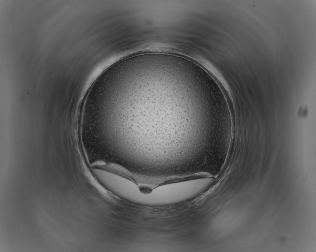 X0000090761437200708031620