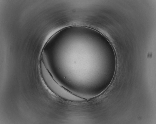 X0000090761440200708031620