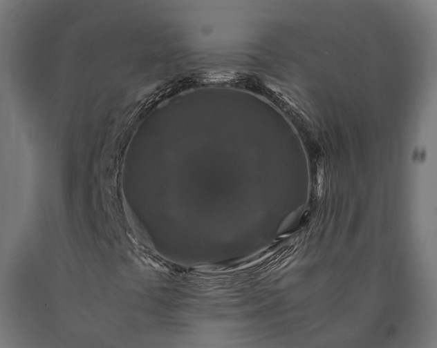 X0000090761441200708031619