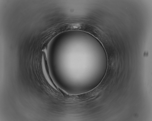 X0000090761442200708031619