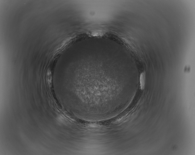 X0000090761443200708031619