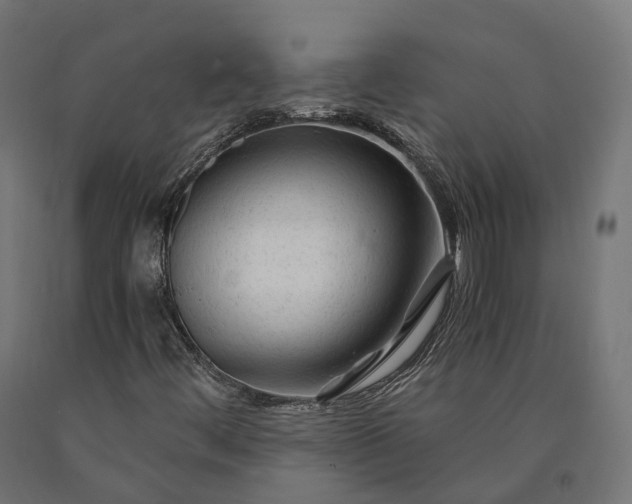 X0000090761444200708031619