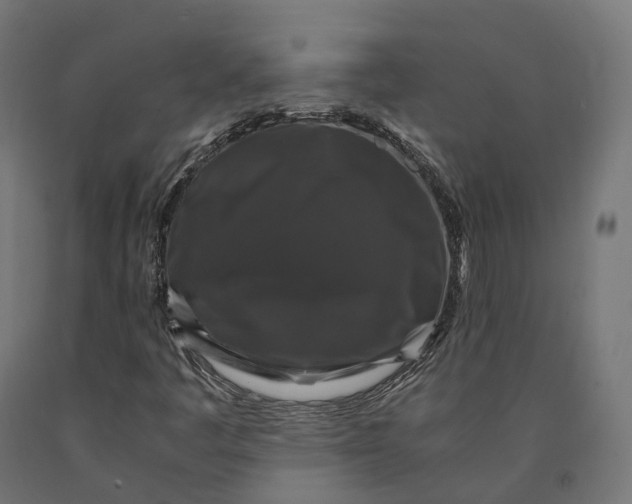 X0000090761445200708031619