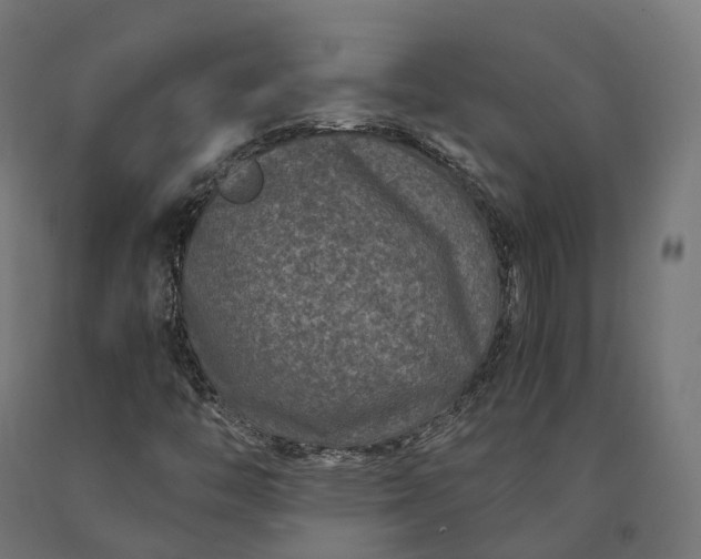 X0000090761446200708031619