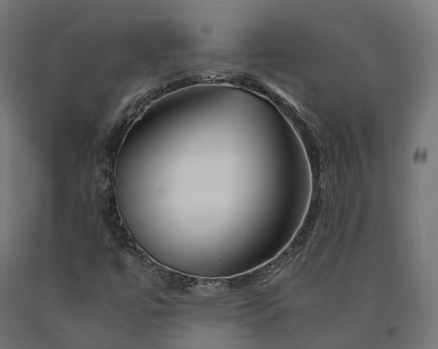 X0000090761447200708031619