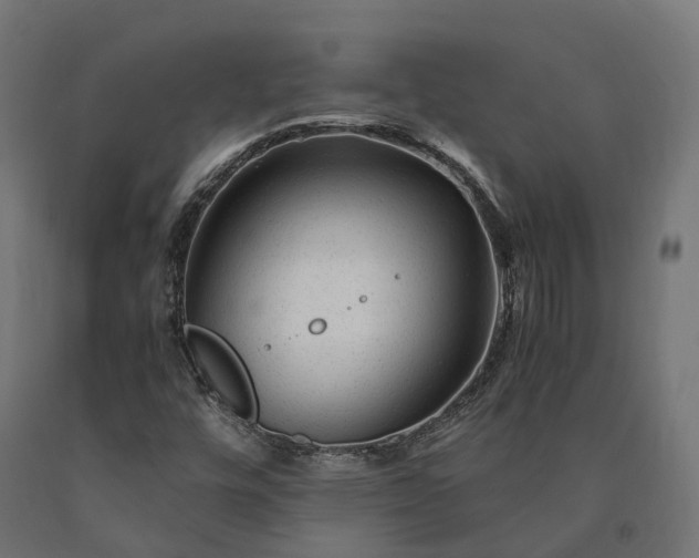 X0000090761448200708031619