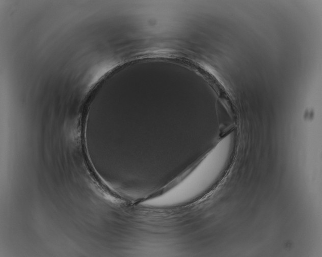 X0000090761450200708031619