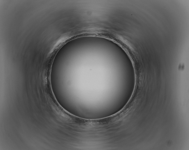 X0000090761451200708031619