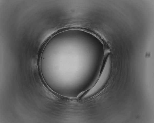 X0000090761452200708031619