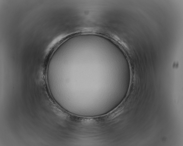 X0000090761454200708031619