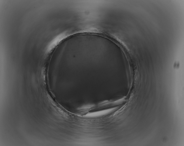 X0000090761455200708031619