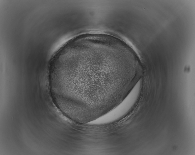 X0000090761456200708031619