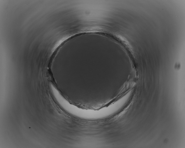 X0000090761457200708031619