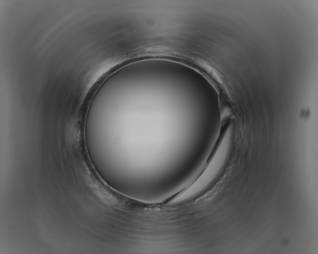 X0000090761458200708031619