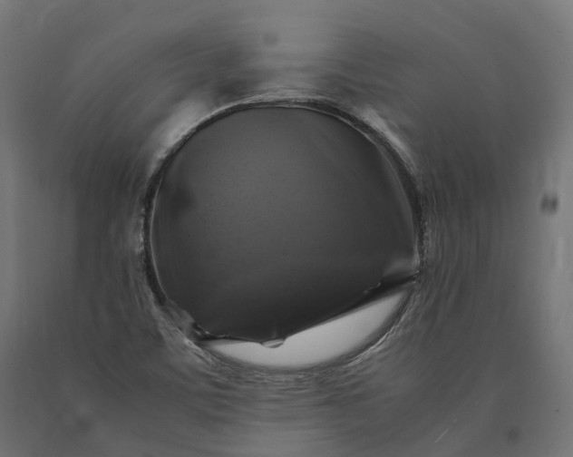 X0000090761459200708031619