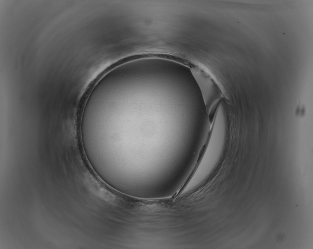 X0000090761460200708031619