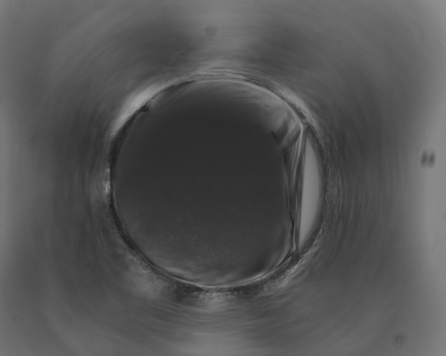 X0000090761461200708031619