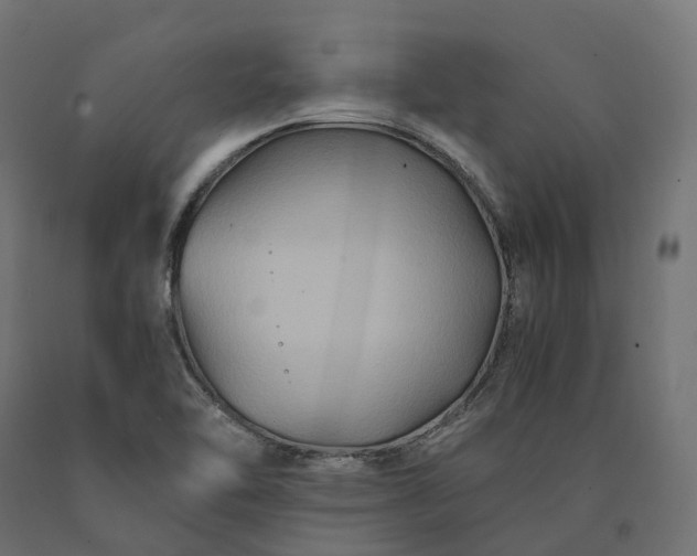 X0000090761462200708031619